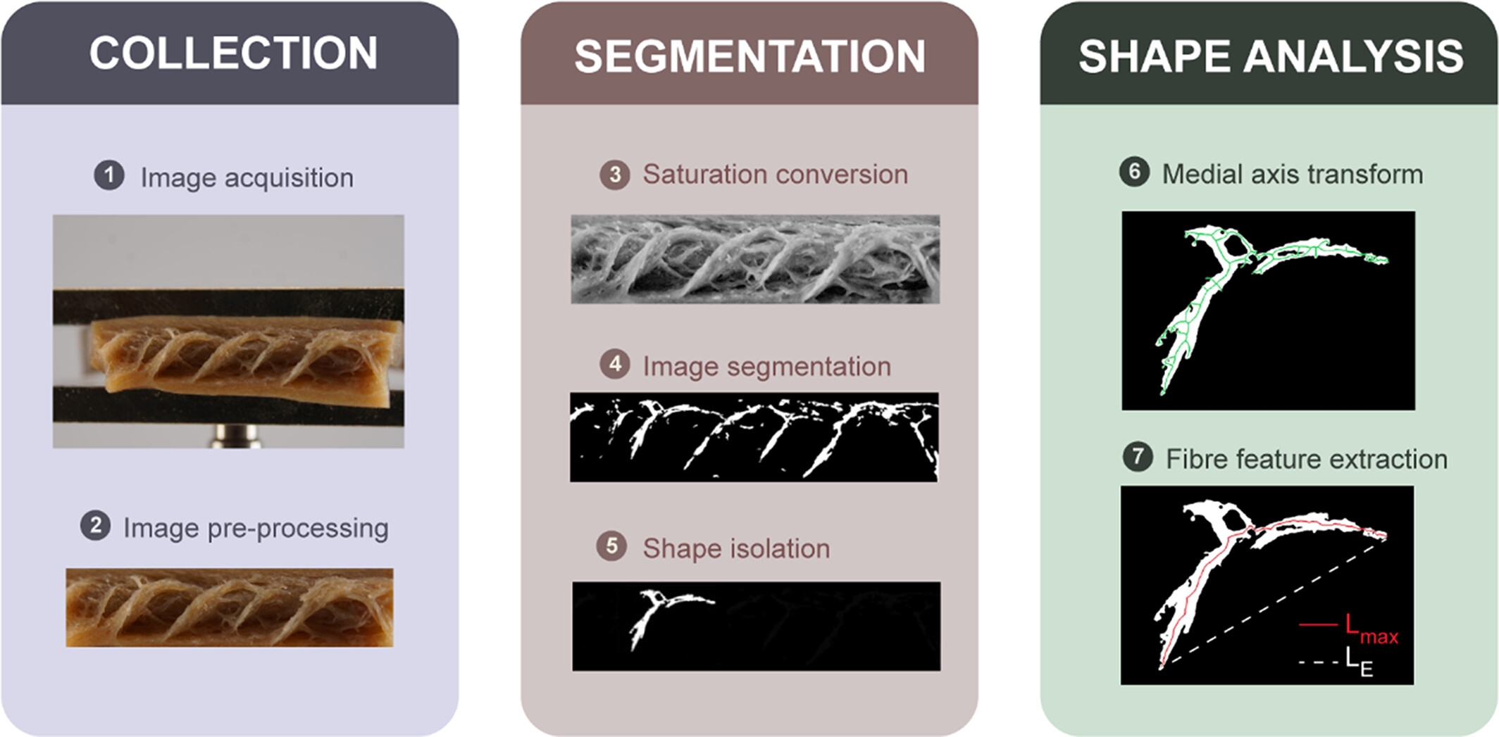 Fiberlyzer 视觉纤维感分析演示图