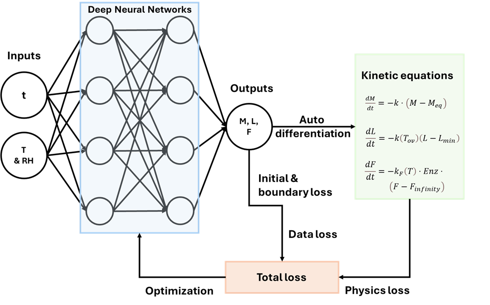 食品动力学 PINN 项目图